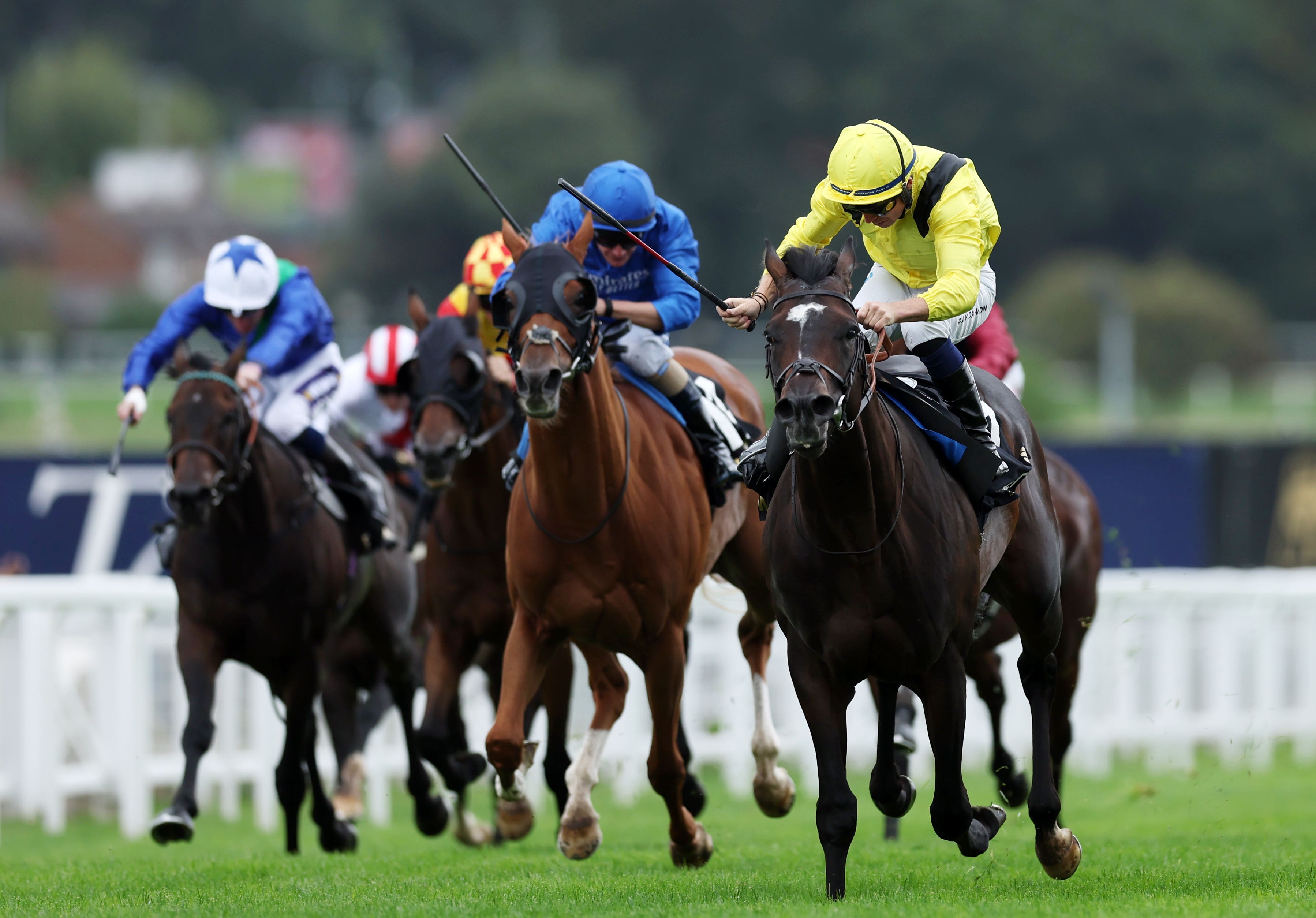 Saddadd (right) won well at Sandown